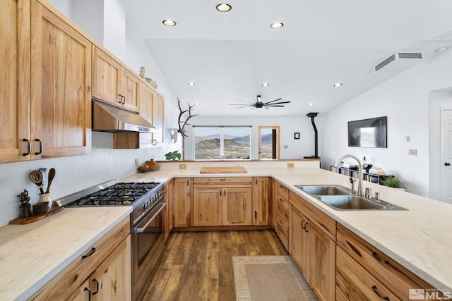 217 Shetland Cir, Reno, NV 89508 - kitchen with stainless steel stove, under cabinet range hood, a sink, vaulted ceiling, and wood finished floors