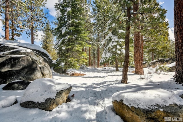114 Angora Ct Unit A, Zephyr Cove, NV 89448 - view of yard covered in snow
