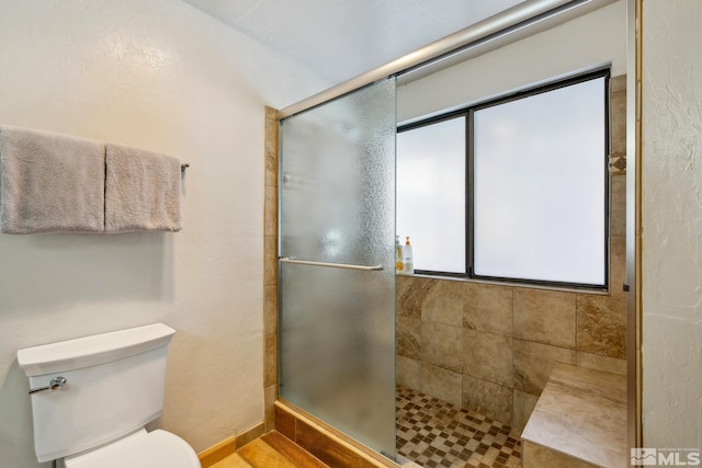 114 Angora Ct Unit A, Zephyr Cove, NV 89448 - bathroom with a tile shower and toilet