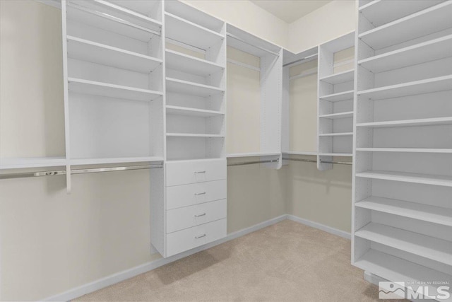 6131 Axis Dr, Sparks, NV 89436 - spacious closet with light carpet