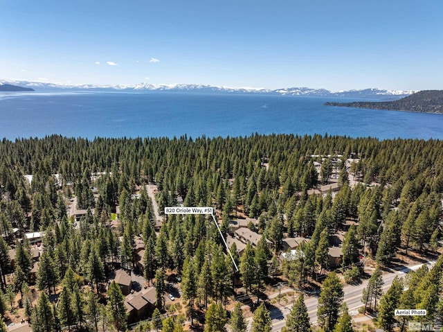820 Oriole Way Unit 51, Incline Village, NV 89451 - bird's eye view of a forest and a water and mountain view