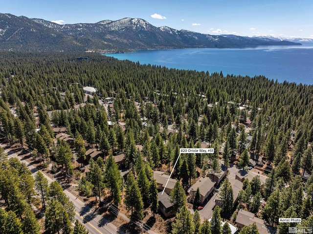 820 Oriole Way Unit 51, Incline Village, NV 89451 - drone / aerial view of a forest and a water and mountain view