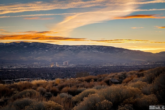 2191 Talladega Ct, Sparks, NV 89436 - mountain view