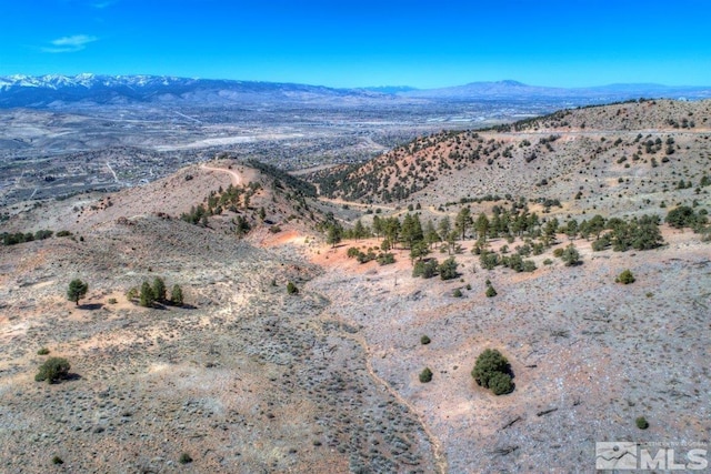 APN01676228 Geiger Grade Rd, Reno, NV 89521