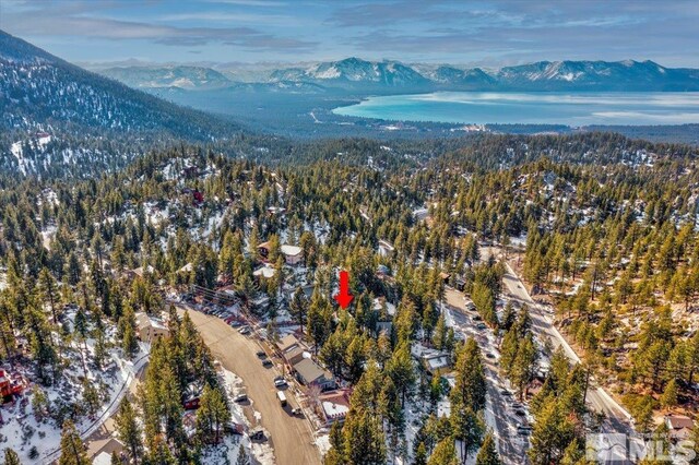 729 Tina, Stateline, NV 89449 - photo 35
