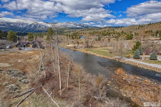 405 River Pines Dr, Verdi, NV 89439 - photo 19