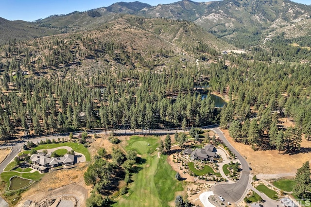0 Franktown Ct, Washoe Valley, NV 89704 - photo 1