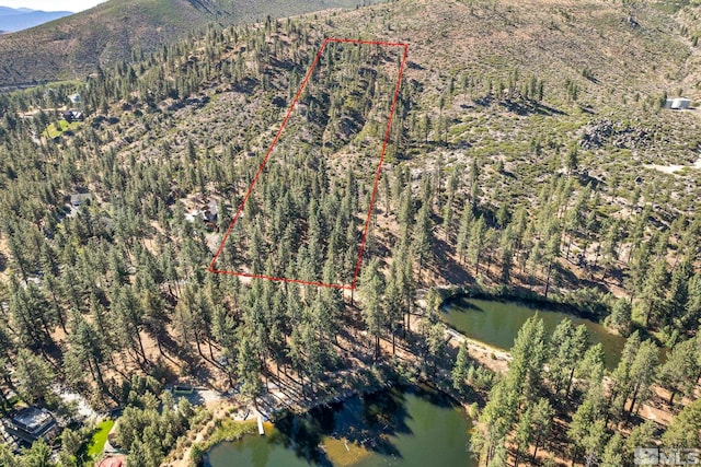0 Franktown Ct, Washoe Valley, NV 89704 - photo 2