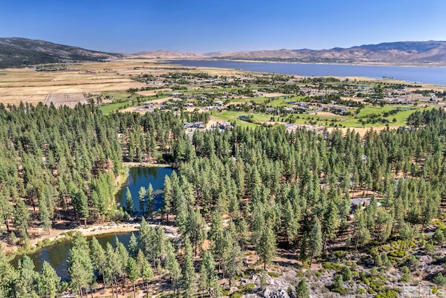 0 Franktown Ct, Washoe Valley, NV 89704 - photo 3