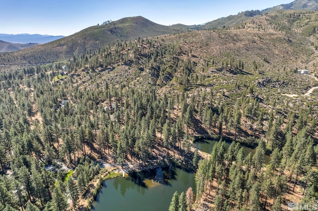 0 Franktown Ct, Washoe Valley, NV 89704 - photo 4