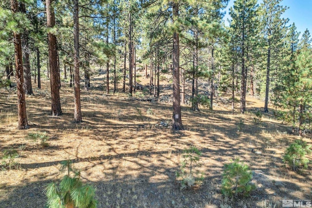 0 Franktown Ct, Washoe Valley, NV 89704 - photo 5