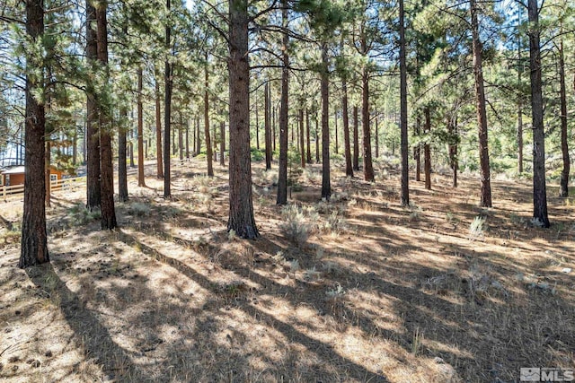 0 Franktown Ct, Washoe Valley, NV 89704 - photo 6