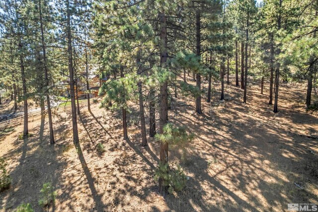 0 Franktown Ct, Washoe Valley, NV 89704 - photo 7