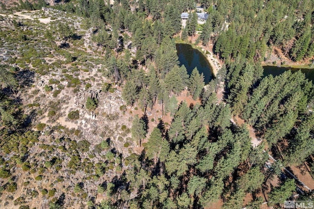 0 Franktown Ct, Washoe Valley, NV 89704 - photo 8