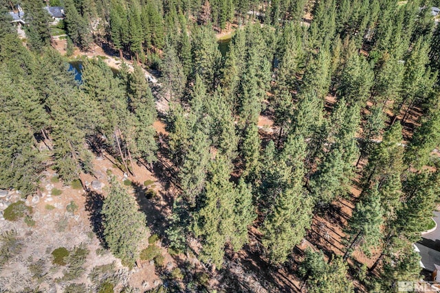 0 Franktown Ct, Washoe Valley, NV 89704 - photo 9