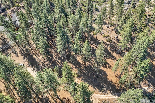 0 Franktown Ct, Washoe Valley, NV 89704 - photo 11