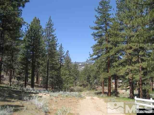0 Franktown Ct, Washoe Valley, NV 89704 - photo 12