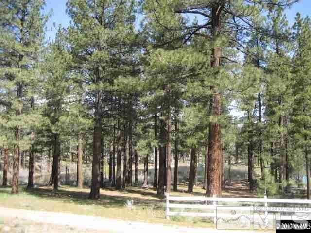 0 Franktown Ct, Washoe Valley, NV 89704 - photo 13