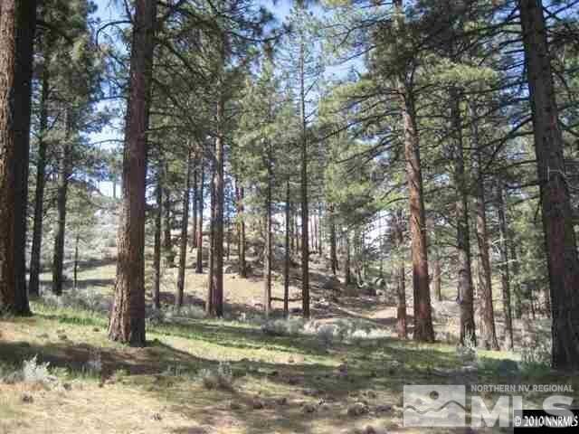 0 Franktown Ct, Washoe Valley, NV 89704 - photo 14
