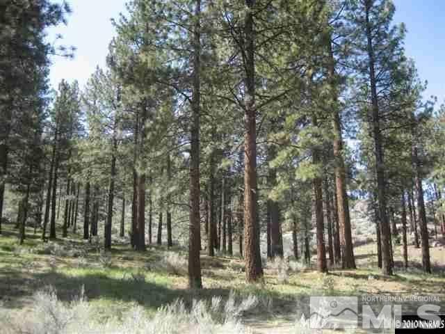 0 Franktown Ct, Washoe Valley, NV 89704 - photo 15