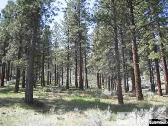 0 Franktown Ct, Washoe Valley, NV 89704 - photo 16