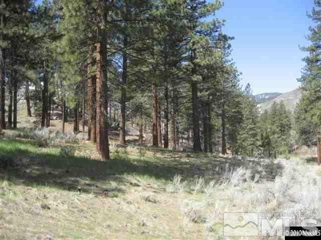 0 Franktown Ct, Washoe Valley, NV 89704 - photo 17
