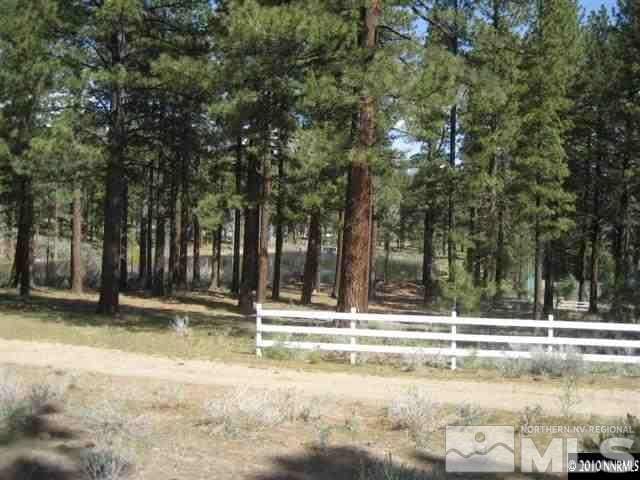 0 Franktown Ct, Washoe Valley, NV 89704 - photo 18