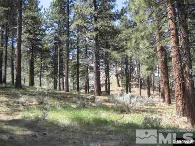0 Franktown Ct, Washoe Valley, NV 89704 - photo 19