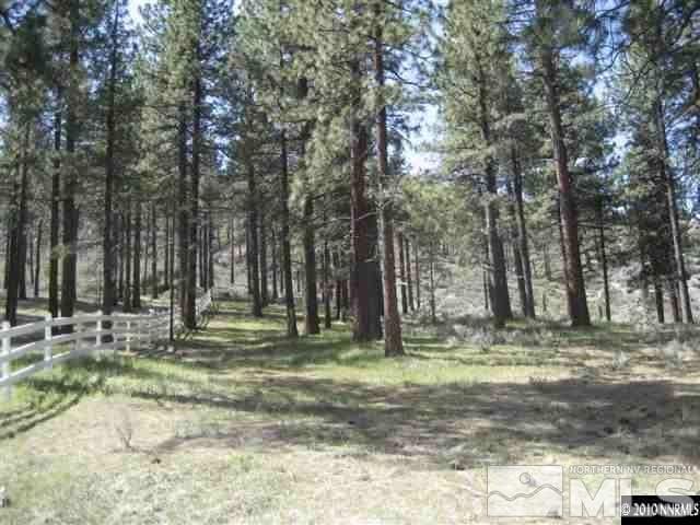 0 Franktown Ct, Washoe Valley, NV 89704 - photo 20