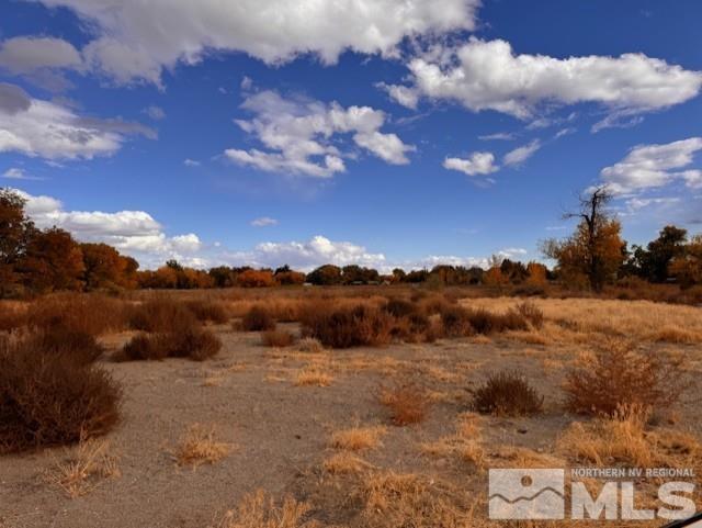 785 Wetland, Fallon, NV 89406