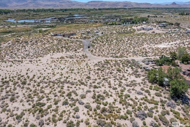 3630 E Antelope St, Silver Springs, NV 89429