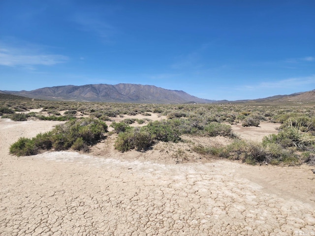 6100 Grass Valley Rd, Reno, NV 89510 - photo 10