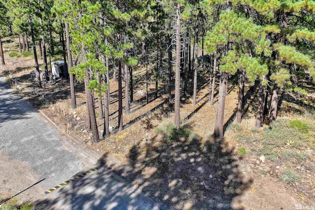 0 Mountain Haven Ln, Reno, NV 89511