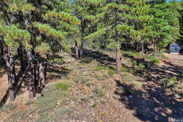 0 Mountain Haven Ln, Reno, NV 89511