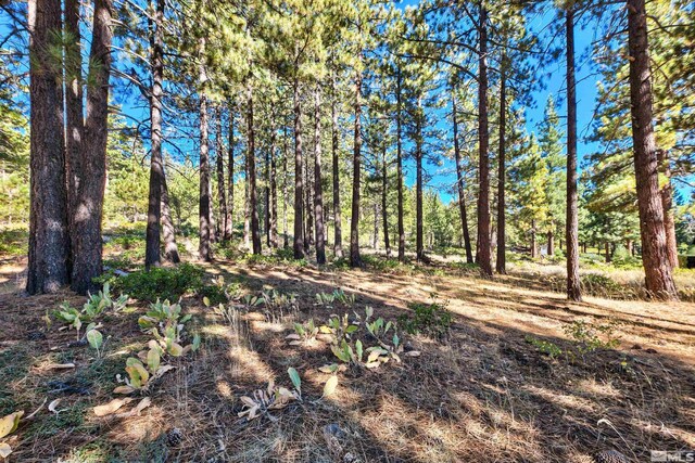 0 Mountain Haven Ln, Reno, NV 89511