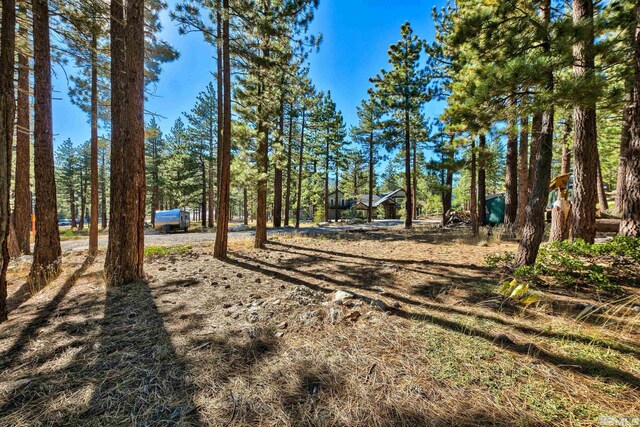 0 Mountain Haven Ln, Reno, NV 89511