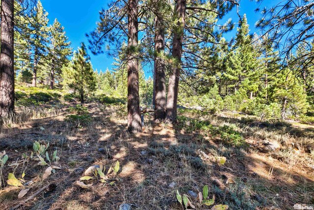 0 Mountain Haven Ln, Reno, NV 89511