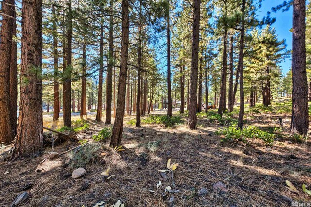 0 Mountain Haven Ln, Reno, NV 89511