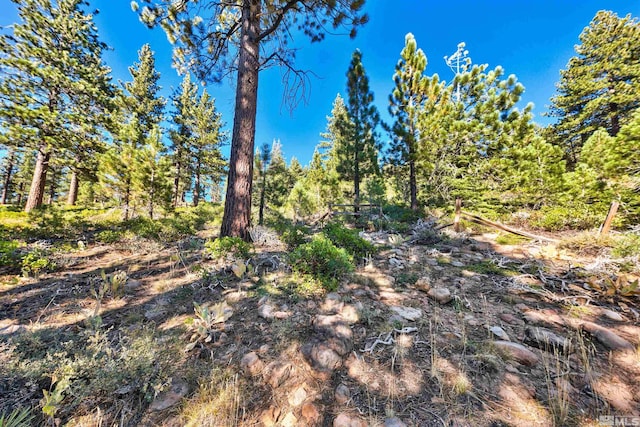 0 Mountain Haven Ln, Reno, NV 89511