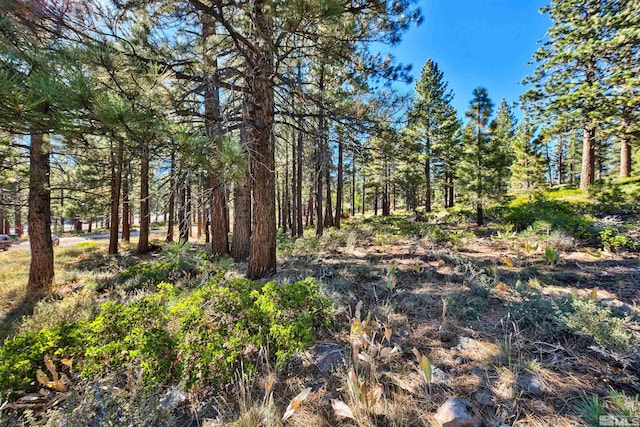 0 Mountain Haven Ln, Reno, NV 89511