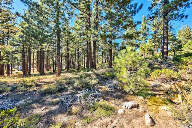 0 Mountain Haven Ln, Reno, NV 89511