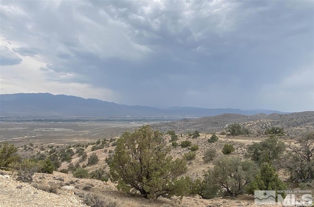 1200 Eagle View Trl, Dayton, NV 89403 - photo 2