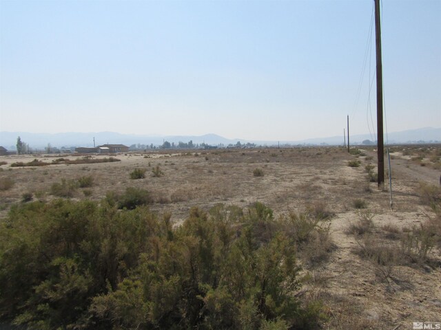 ParA Pete Henrichs, Yerington, NV 89447 - photo 3