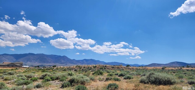 02968239 Dayton Valley Rd, Dayton, NV 89403 - photo 11