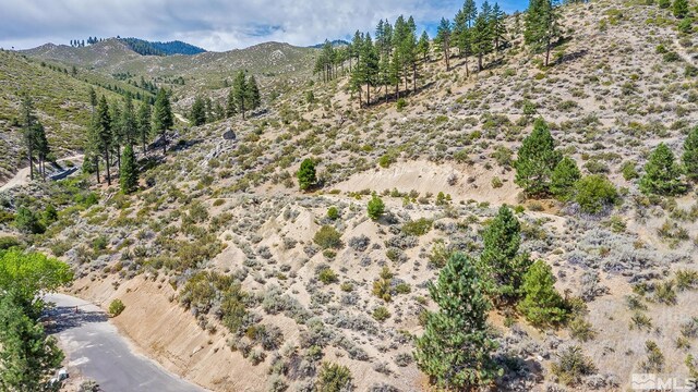 0 Bryan Canyon Rd, Washoe Valley, NV 89704 - photo 4