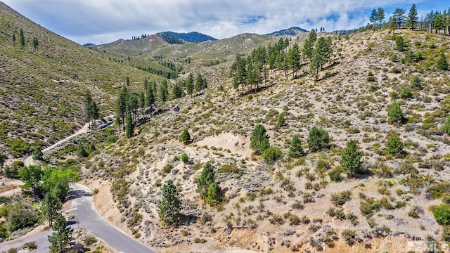0 Bryan Canyon Rd, Washoe Valley, NV 89704 - photo 5