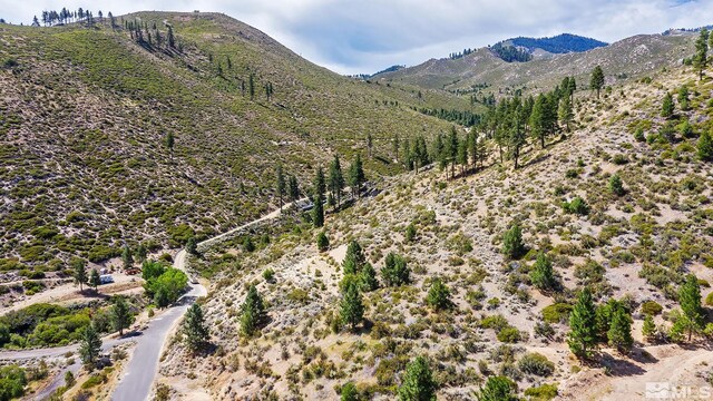 0 Bryan Canyon Rd, Washoe Valley, NV 89704 - photo 6