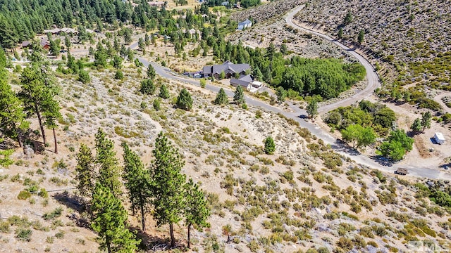 0 Bryan Canyon Rd, Washoe Valley, NV 89704 - photo 10