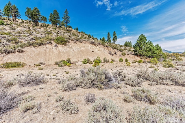 0 Bryan Canyon Rd, Washoe Valley, NV 89704 - photo 15