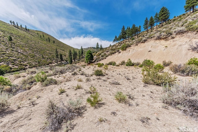 0 Bryan Canyon Rd, Washoe Valley, NV 89704 - photo 16